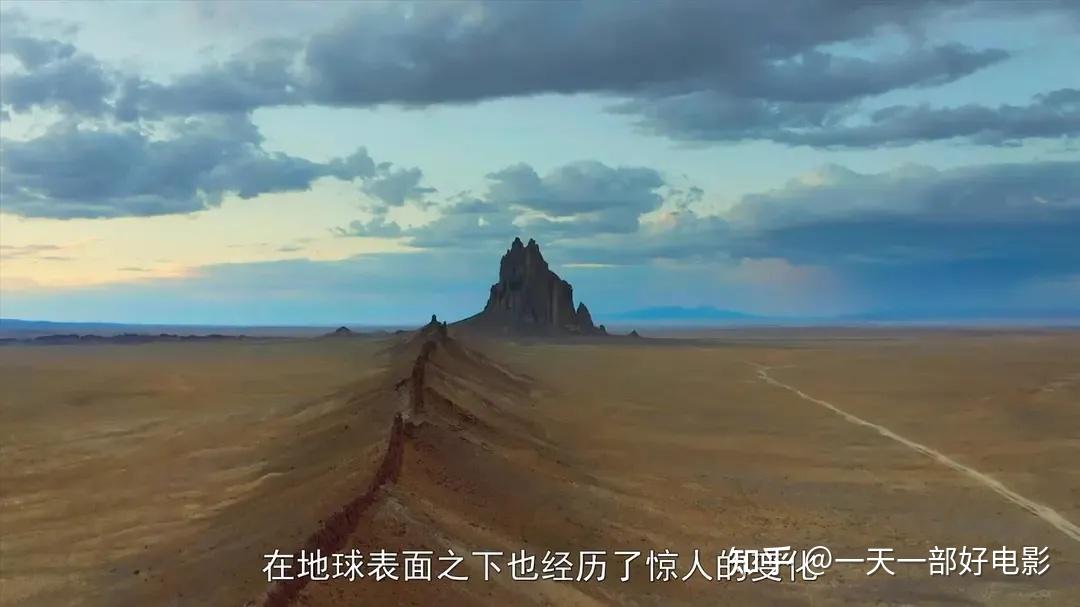 如何评价记录疫情下人类与野生动物生存情况的纪录片地球改变之年