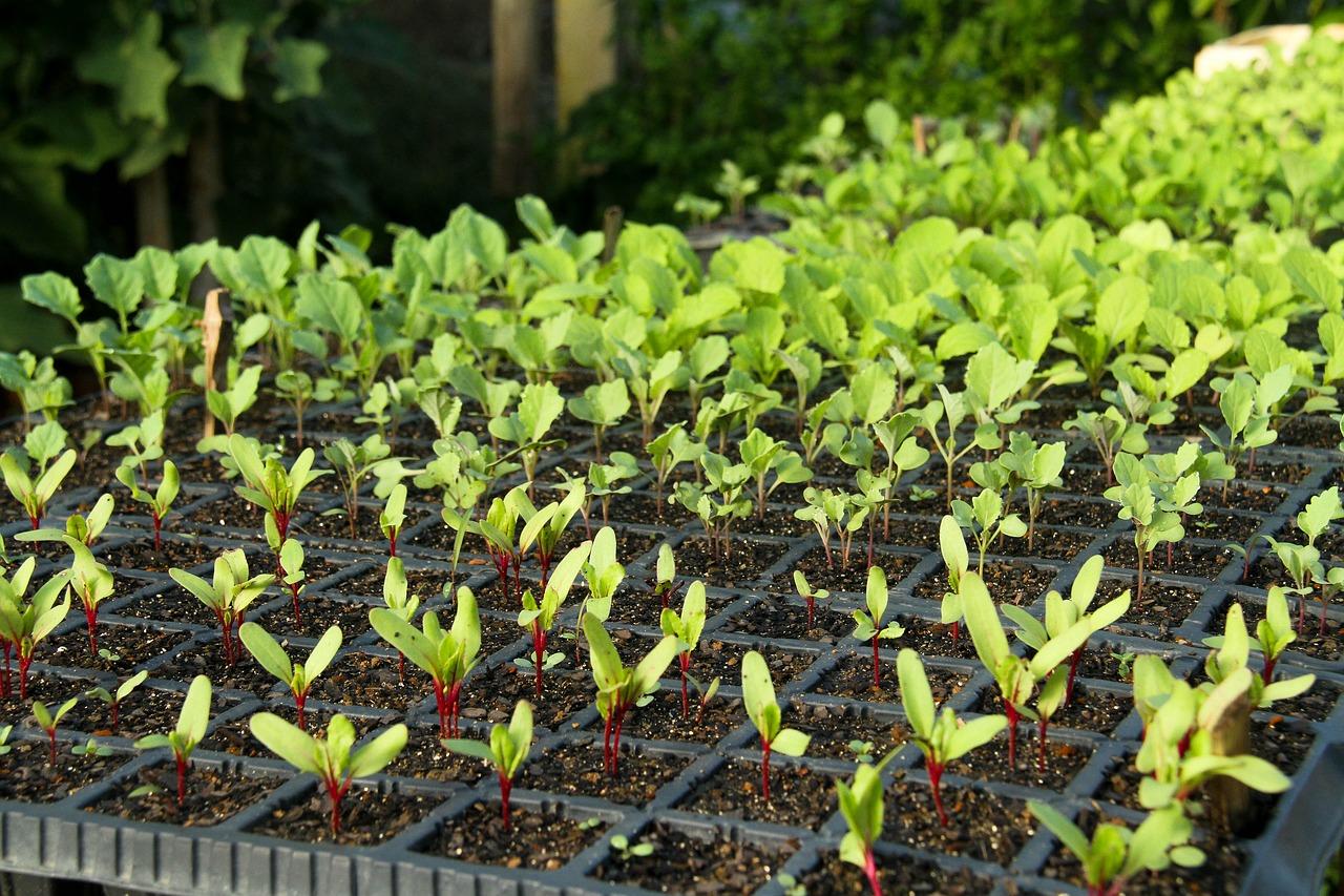 无机材料什么意思