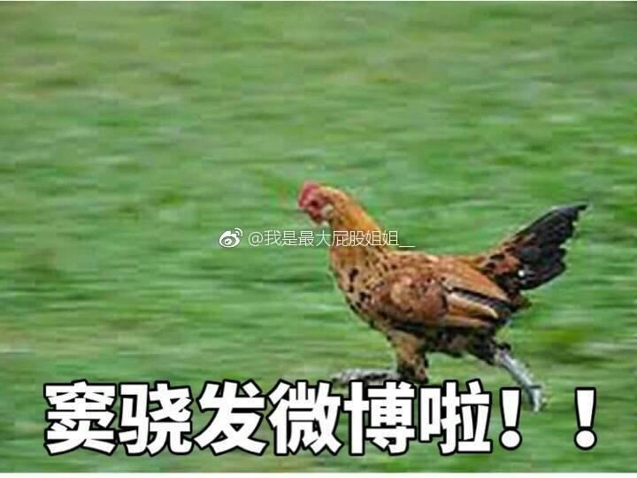 窦骁的美图或搞怪图有哪些?-窦骁帅照