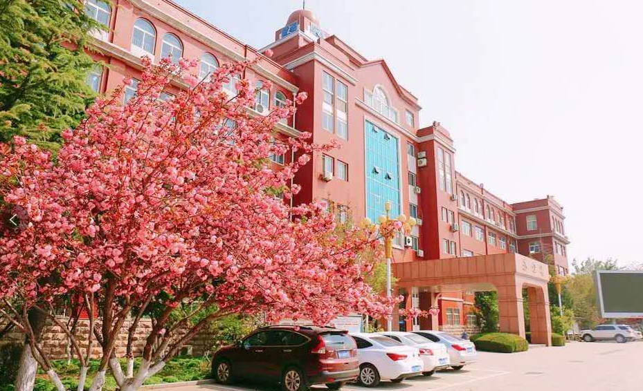 山东英才学院的校园环境如何?