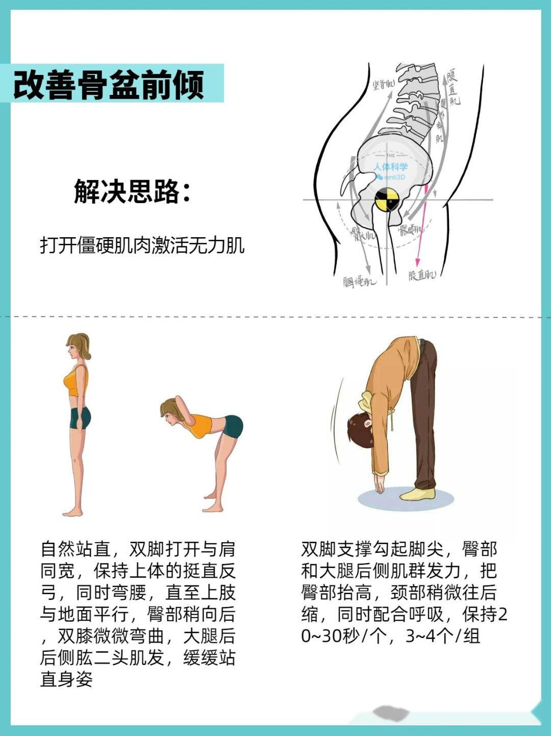 【骨盆前倾】原理、评估、运动矫 …