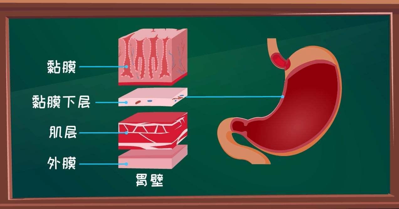 胃糜烂怎么办?