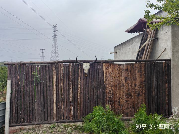 人，可以废物到什么程度？