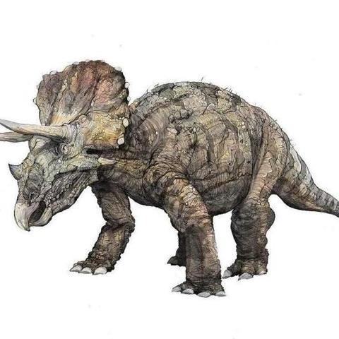 百科讨论精华视频等待回答简介三角龙(属名:triceratops)亦称三觭龙