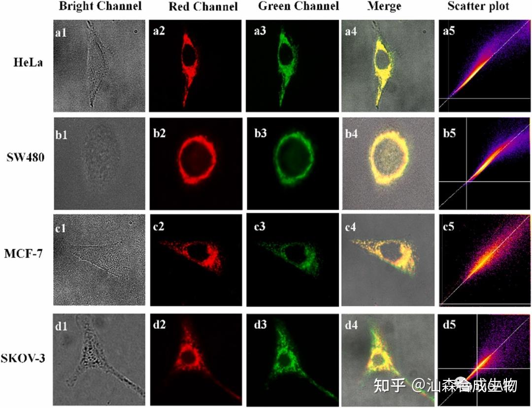 首例天然芒果苷聚集诱导发光化合物对癌细胞高选择性生物成像 - 知乎