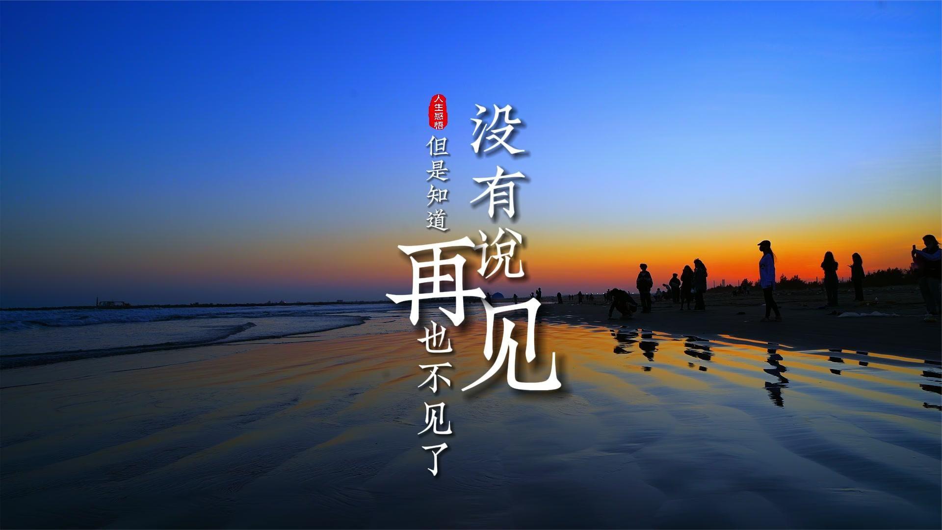 没有说再见但是知道再也不见了