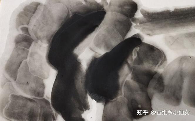 宣纸里面的生宣、半生熟、熟宣,都是怎么区分的? - 知乎