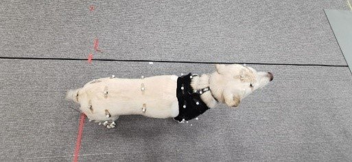 一文详解游戏动捕流程细节 - 知乎