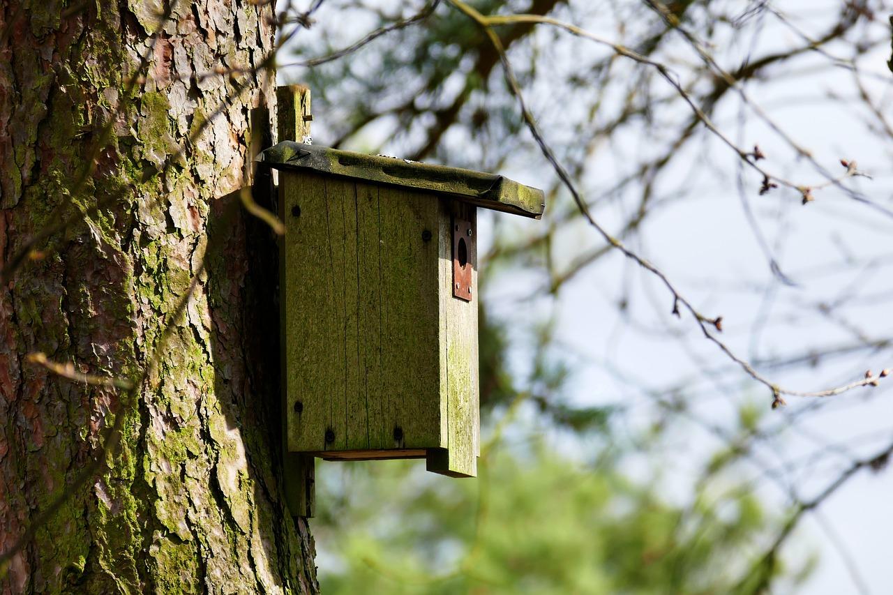 1. 繁殖技巧揭秘