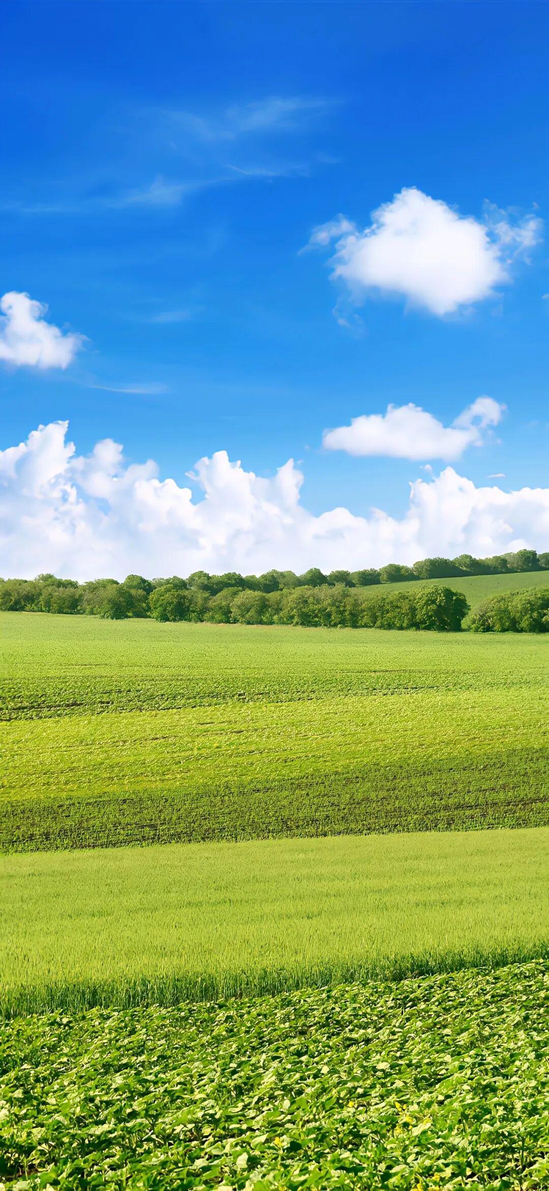 有没有这种画风的卡通壁纸,好可爱!