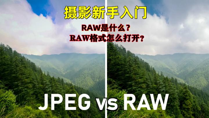 猫咪心脏bnp和心超区别 百度知道