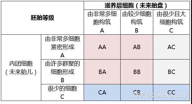 商品批发配送行业的新浪潮：供应链优化的力量