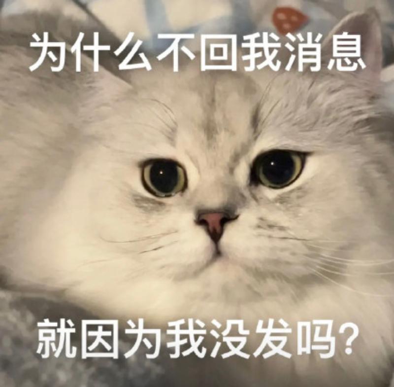 求大家珍藏已久的表情包? - 知乎