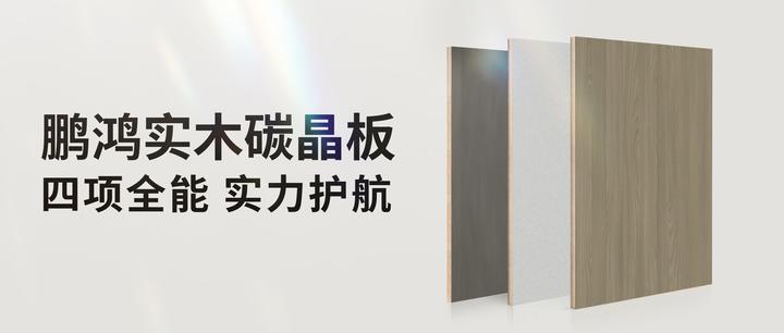 四项全能碳晶板,一板解锁家装超能力 - 知乎