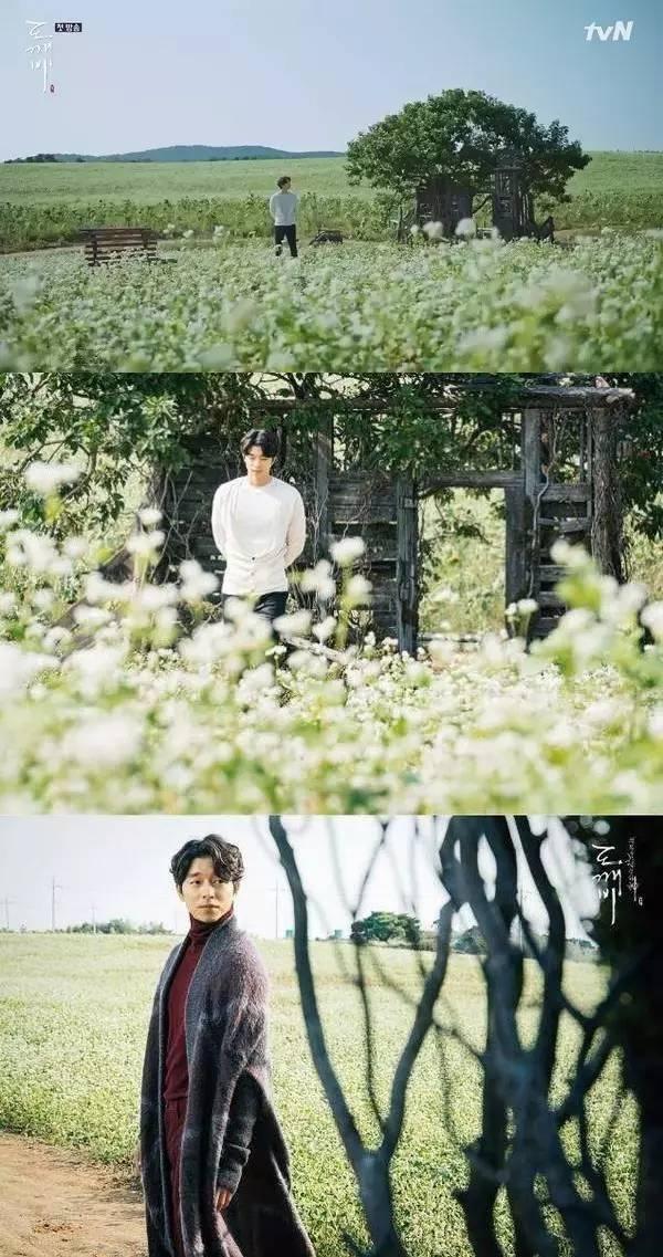 孤独又灿烂的神鬼怪取景地在哪