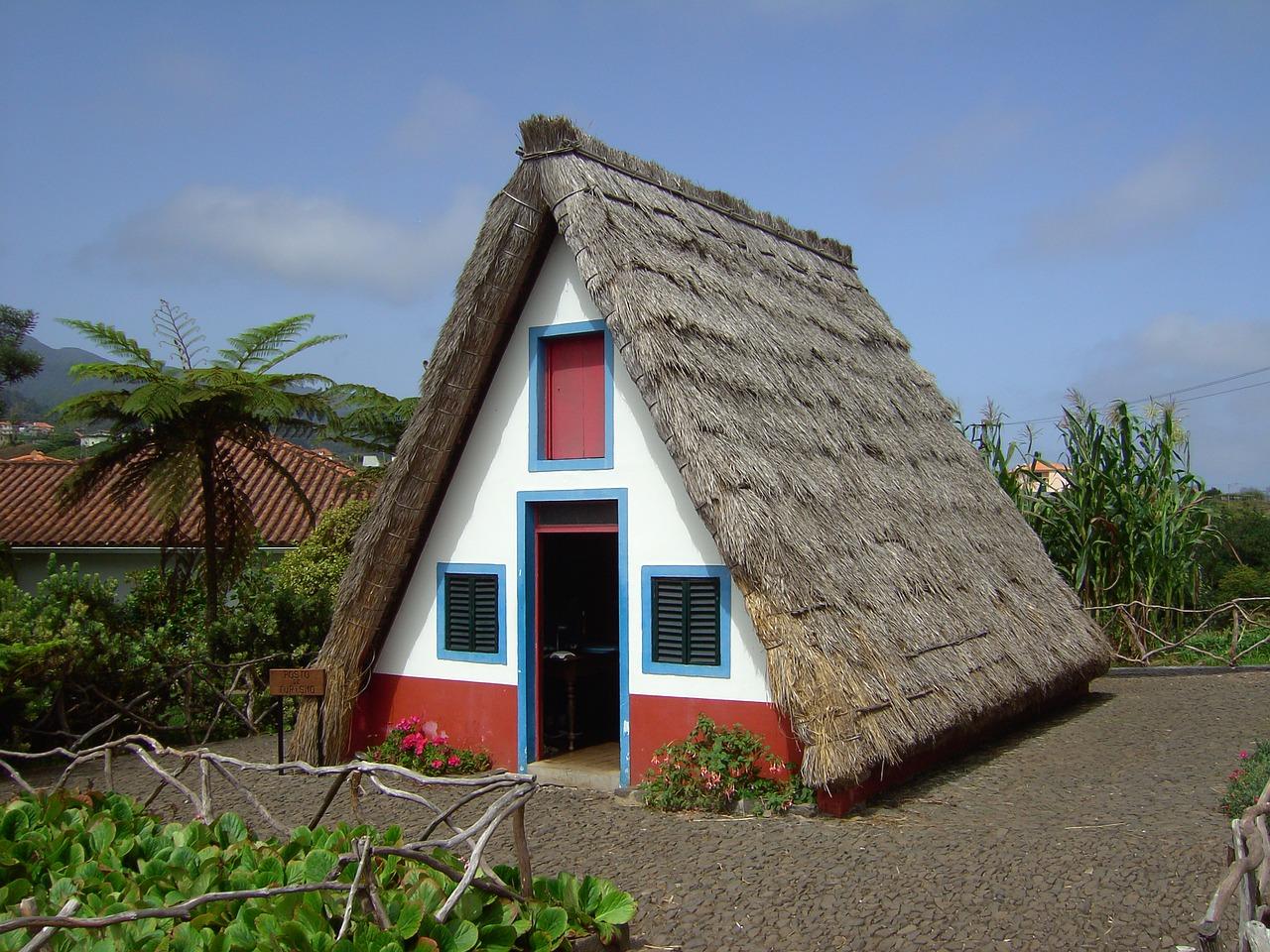 2. 提交迁入申请