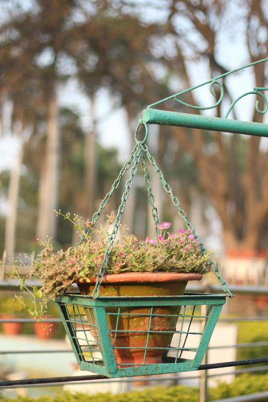 佳能70d用什么滤镜