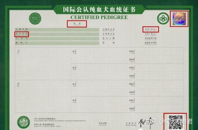 一只柴犬要多少钱呀