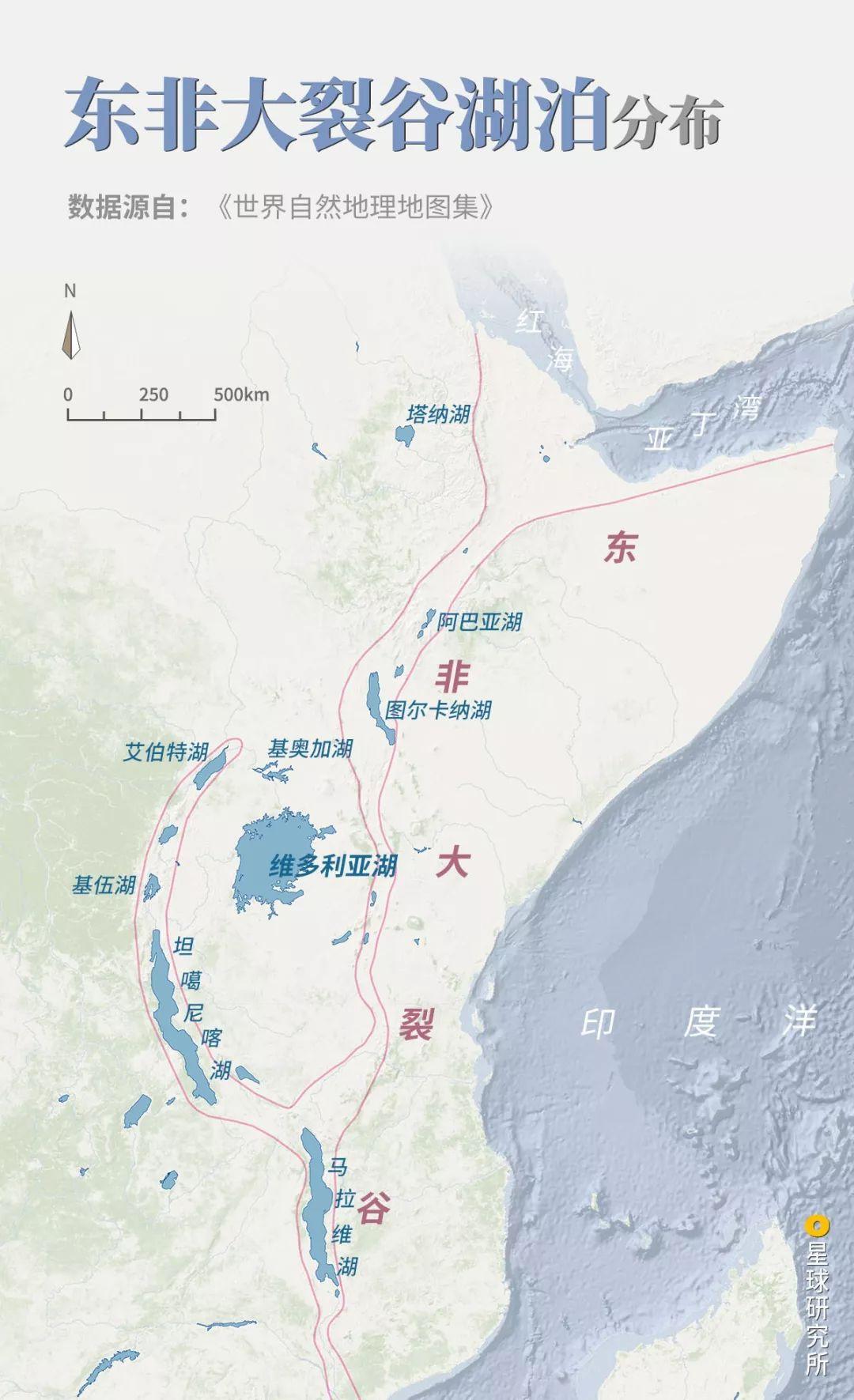 非洲动物大迁徙路线图图片