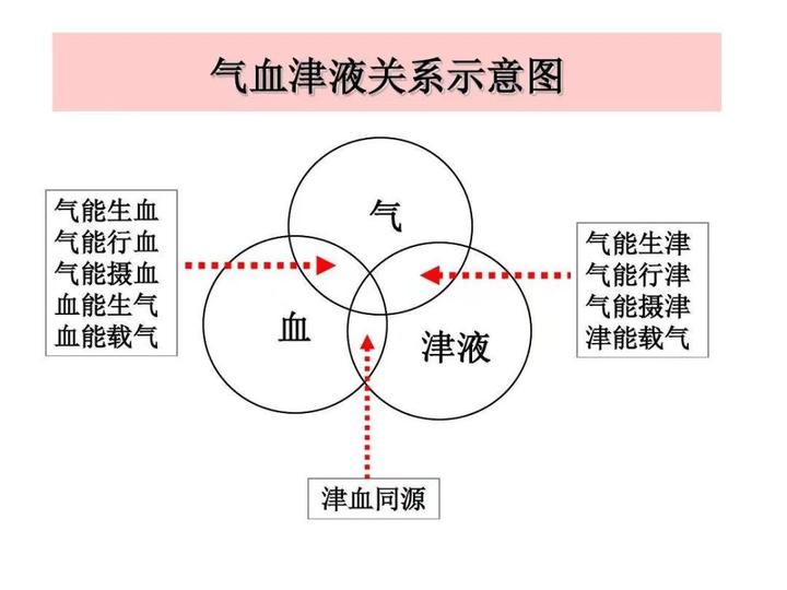 老中医聊气血对健康的影响 - 知乎