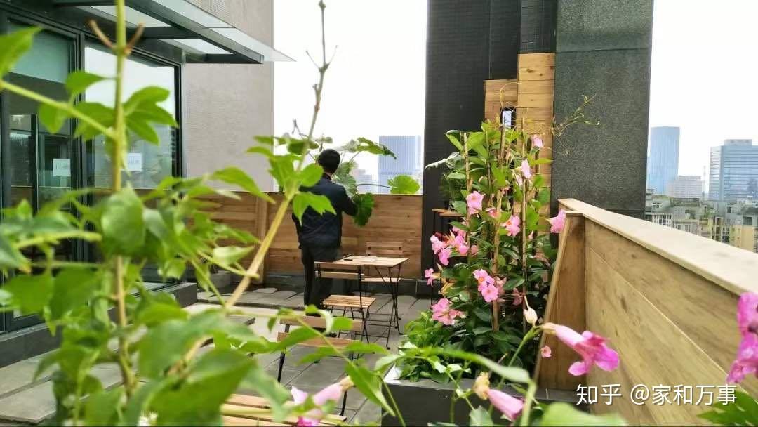 如何装修楼顶露台或小花园? - 知乎