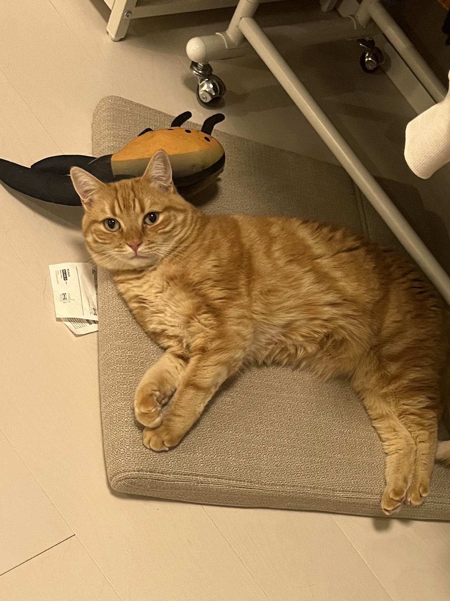 AtCoder Beginner Contest 283 Ex Popcount Sum AtCoder Beginner Contest 283 Ex Popcount Sum