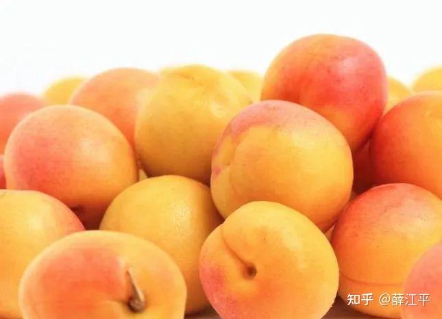 壹号鲜杏——来自北纬42°黄金果园的伊犁小红杏。 - 知乎