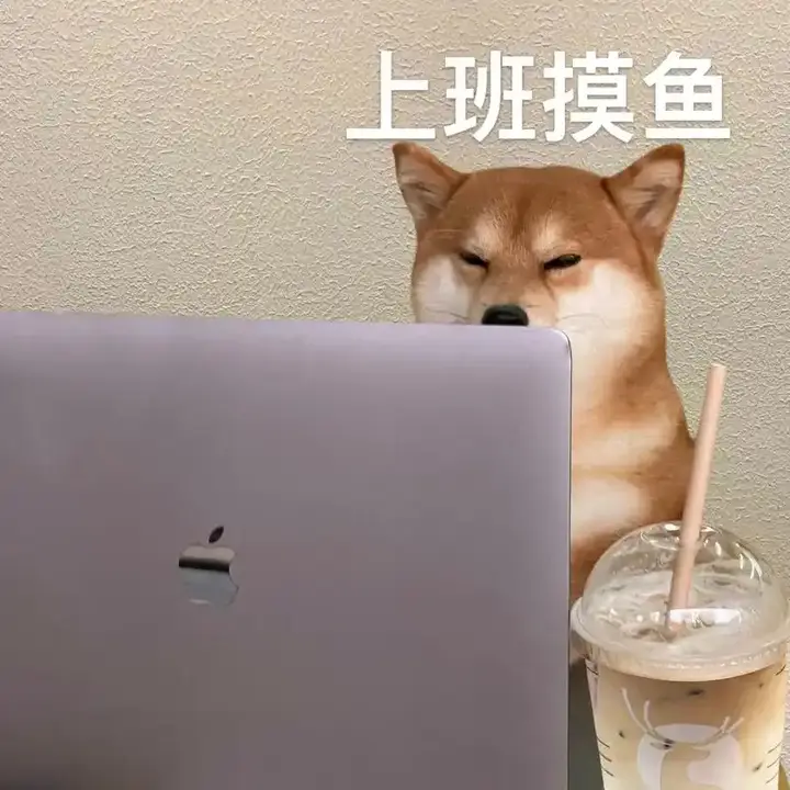 摸鱼人生 - 知乎