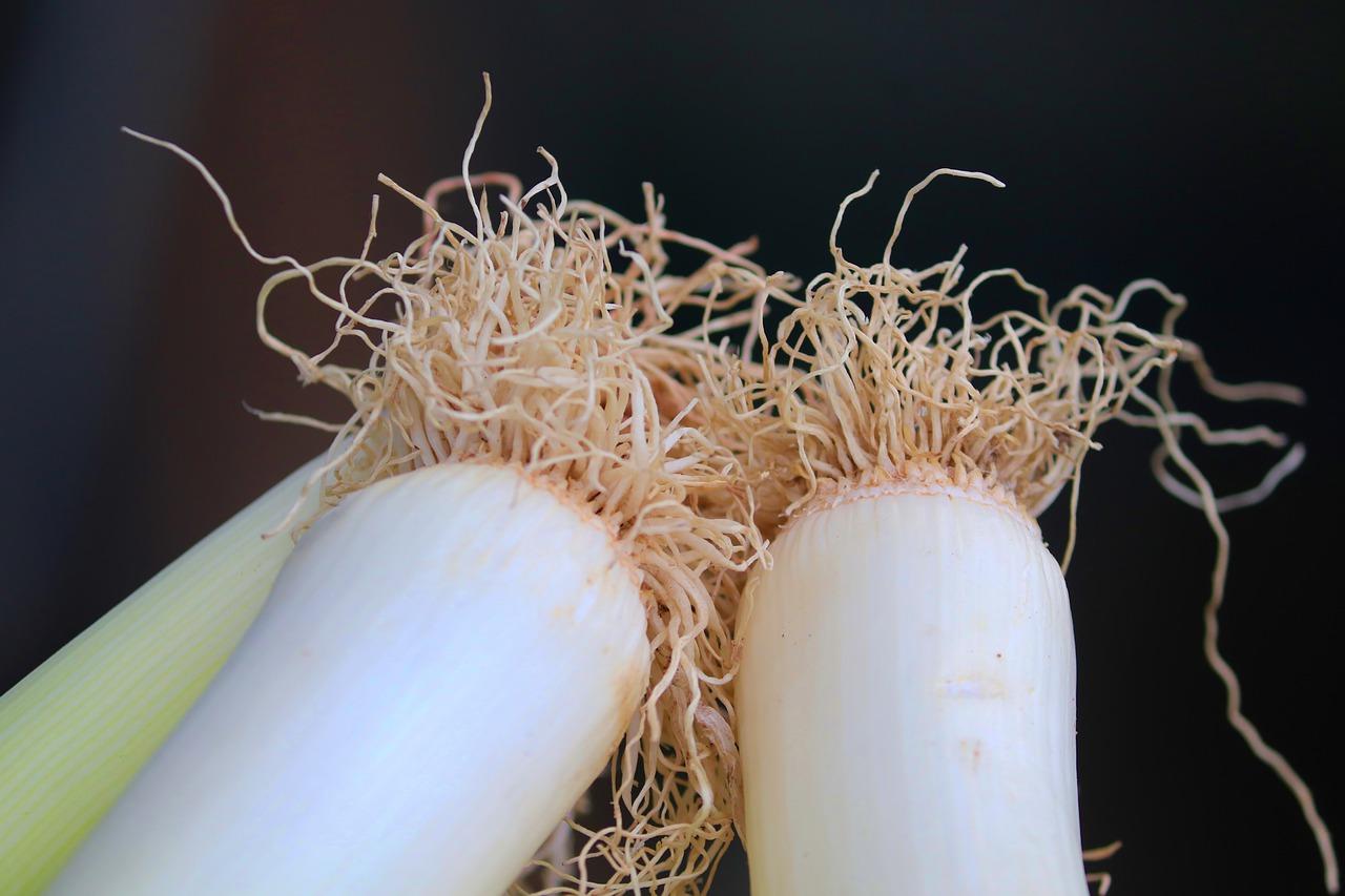 2. 葱花煮水步骤