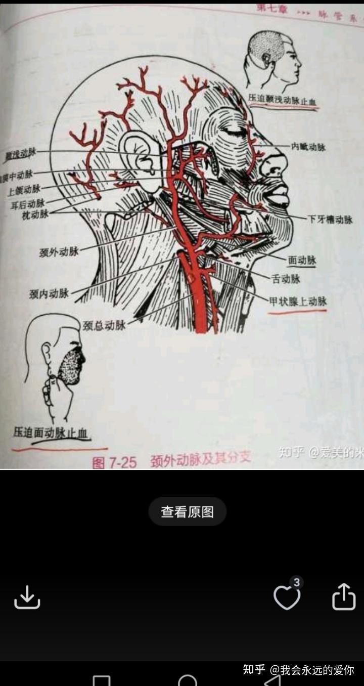 我爸是个家暴男咋办