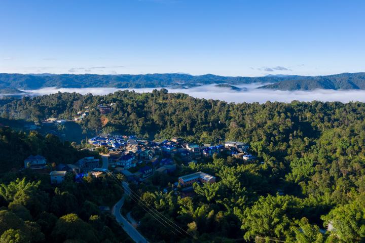 普洱茶的正确开茶方式 知乎