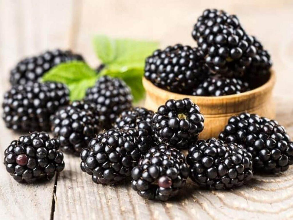 Blackberry