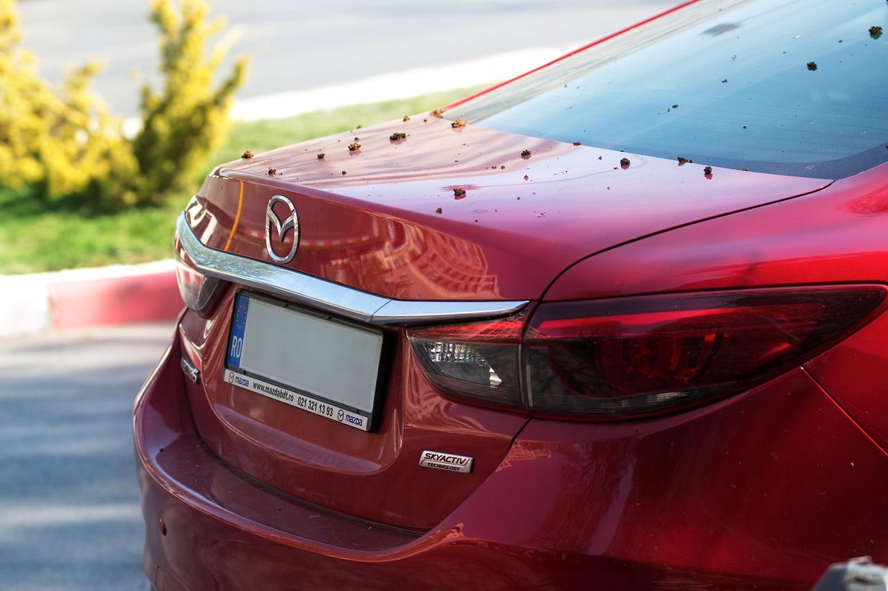 宾利花车洛阳报价