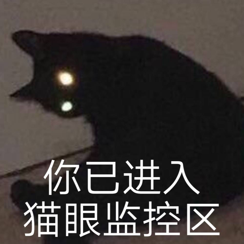 为什么大家都在说intp是猫？ - 知乎