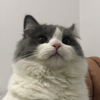 user-profile-image