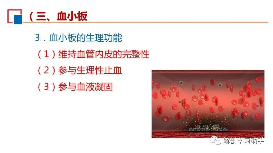 生理学——血液的组成和理化特性、血细胞 - 知乎
