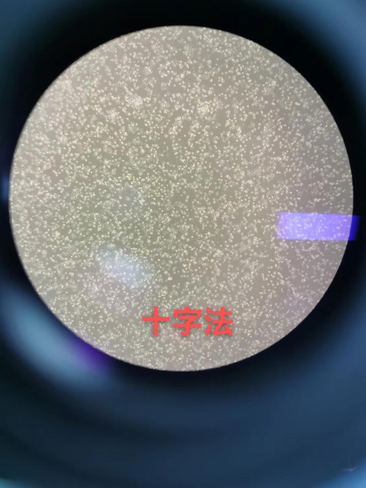 细胞铺板你铺匀了吗??? - 知乎
