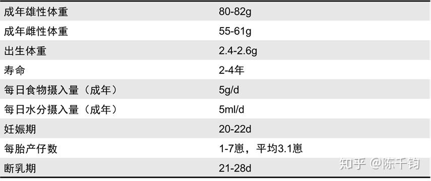 北非肥尾沙鼠通心粉鼠的壽命長短飼養環境食物營養比例