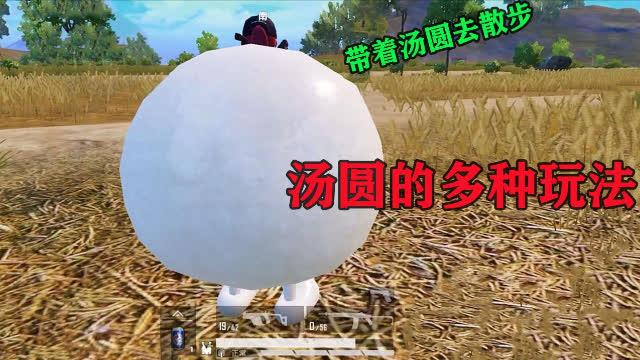 和平精英汤圆的多种玩法可以趴着玩还可以带它去散步