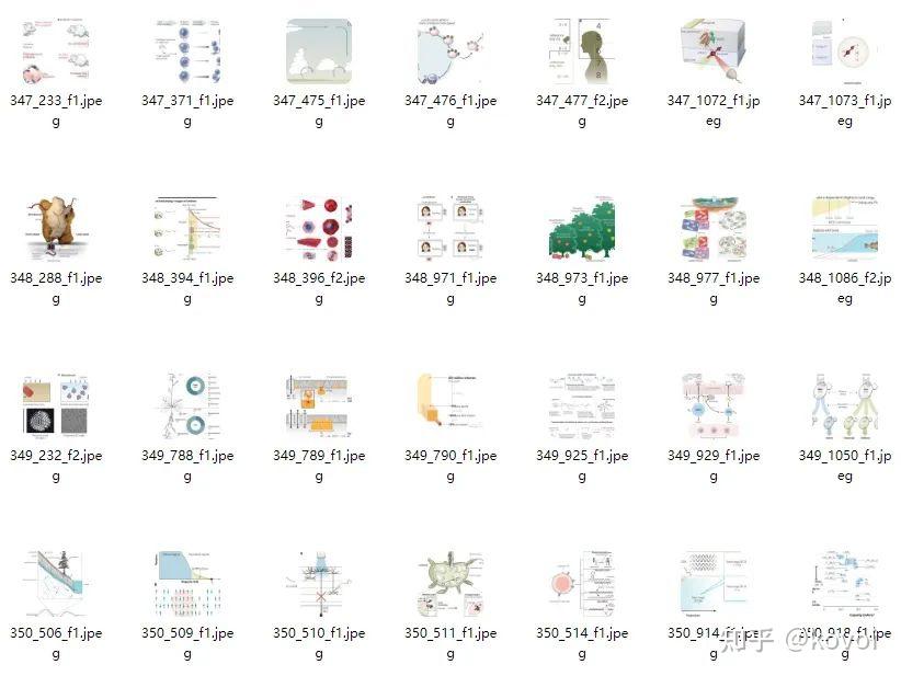 横跨18年，超过4200幅！《Nature》官方插图合集已更新 - 知乎
