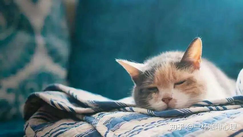 “你并不懒惰”|不要总用“懒惰”粉饰不想做背后的深层原因 - 知乎