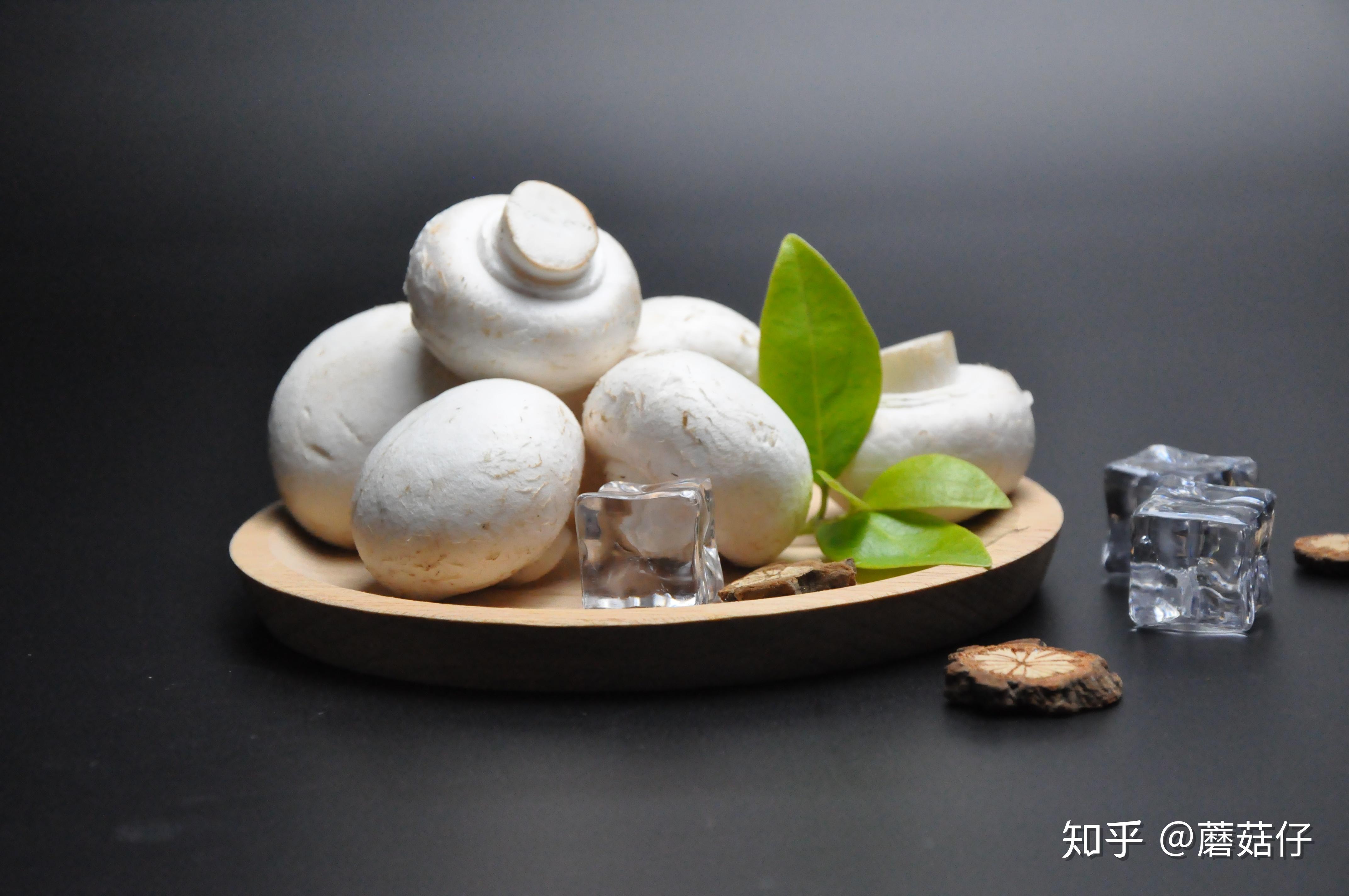 有种白色蘑菇像圆球一样是什么蘑菇