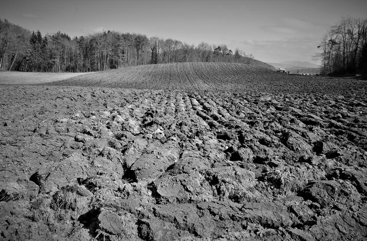 3. 采矿用地性质