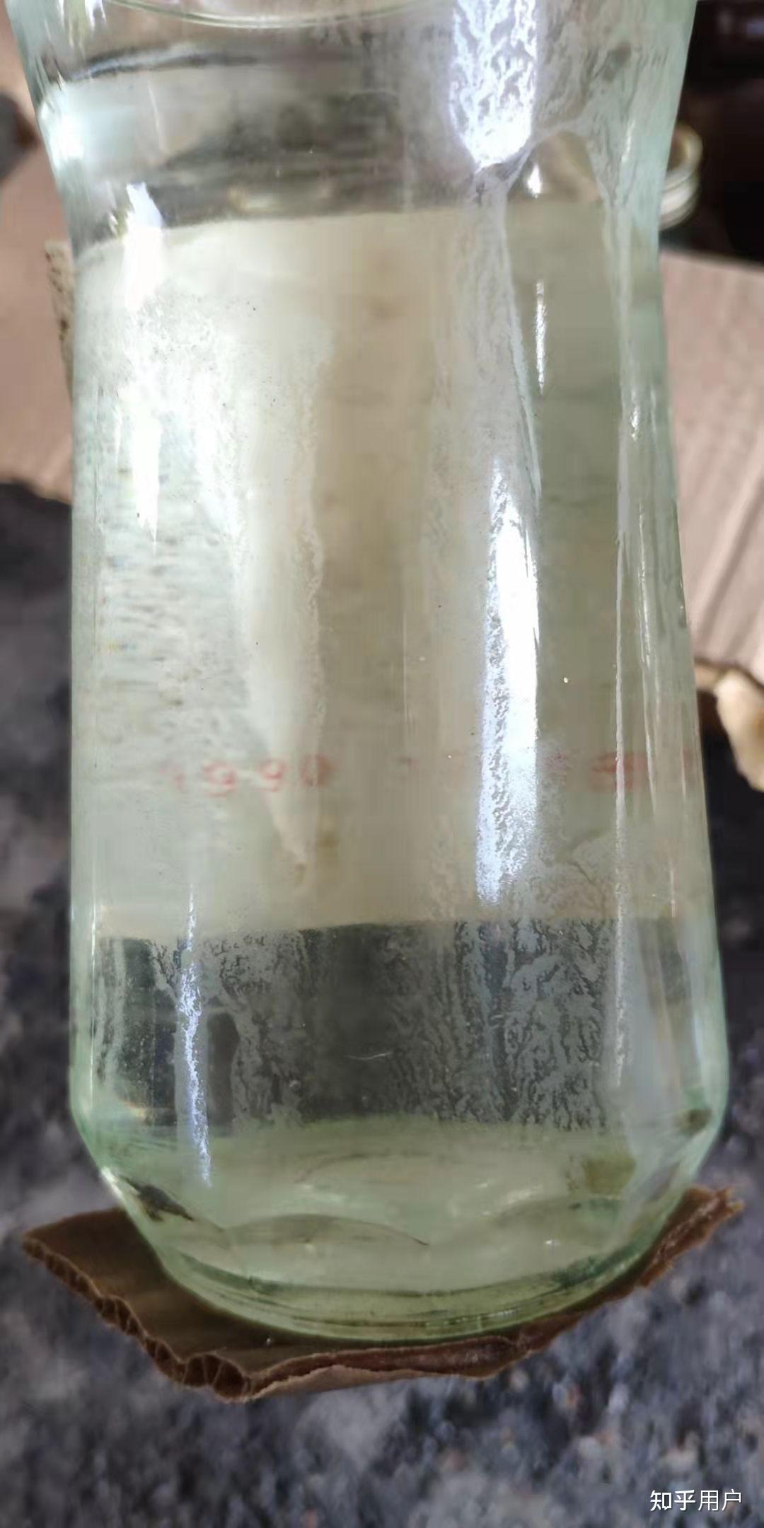 贵州遵义1990年的鸭凤窖酒多少钱一瓶,有收藏价值吗,一个朋友今晚拿