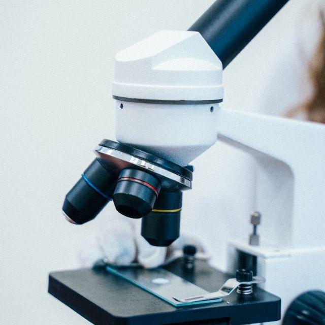 显微镜发明以前，古人认知中的最小生物是什么？