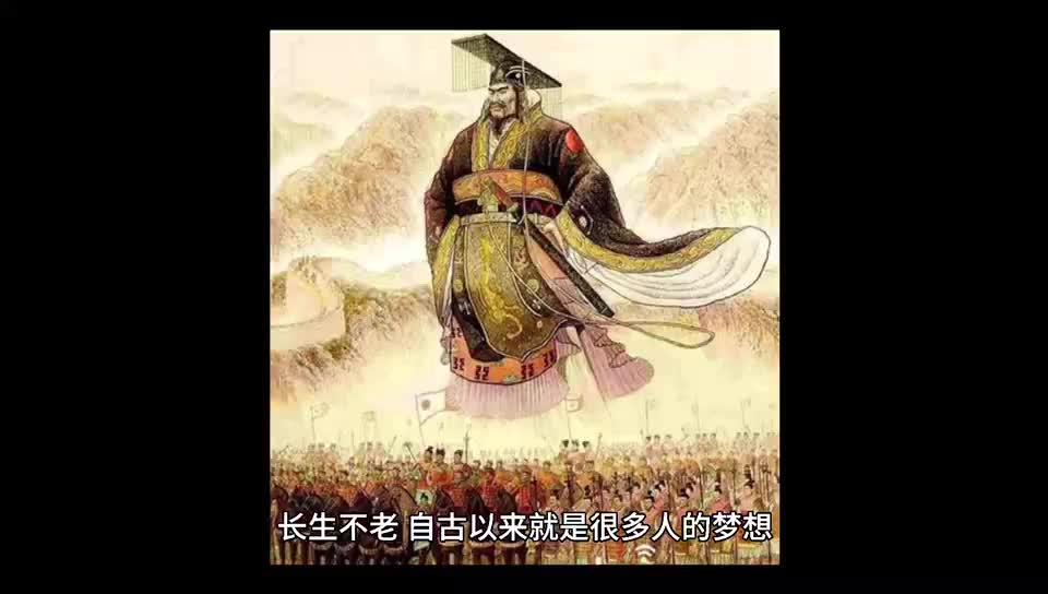 灯塔水母真能长生不老吗? - 知乎