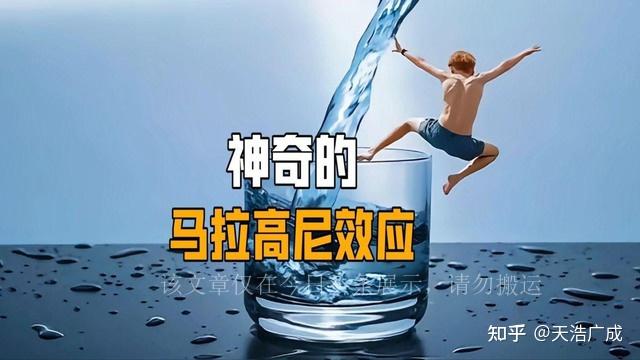 为什么会发生马拉高尼效应? - 知乎