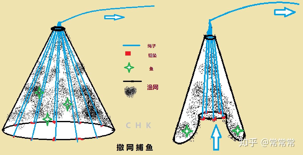 刺网捕鱼原理图图片