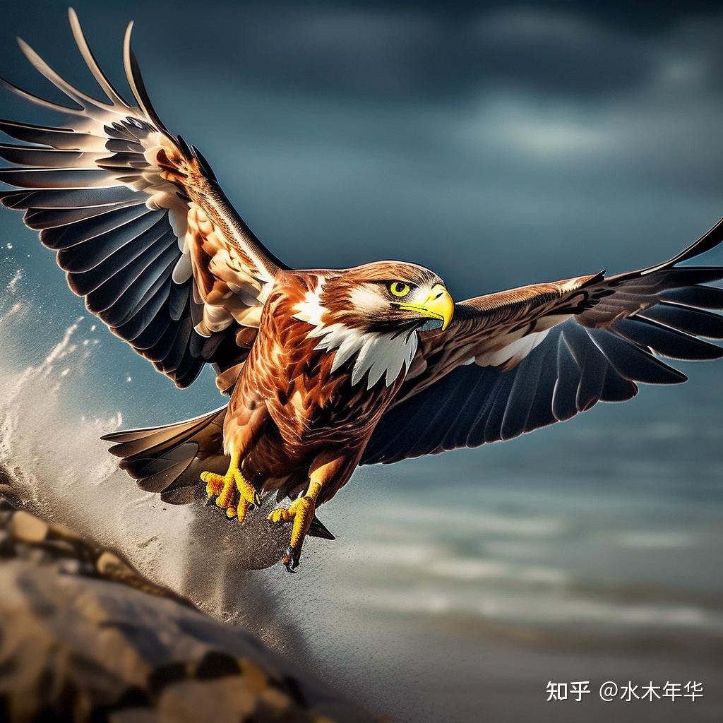 为什么小鸟可以飞起来? - 知乎