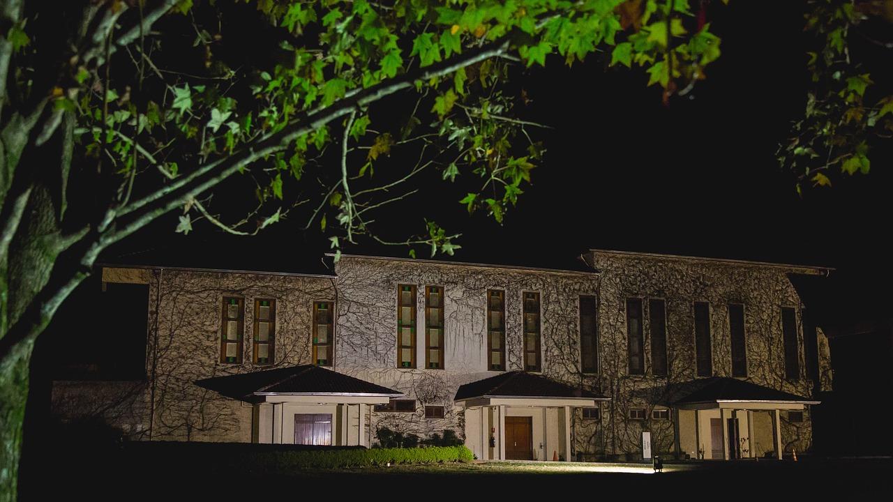 上海近郊葡萄园